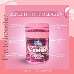 Phyto Booster Whitening Anti Aging Acne Formula Collagen By DSM